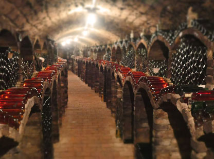 Penzion Valtice - Wine degustation